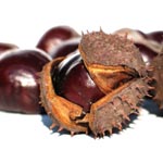 Chestnuts & Brown Sugar