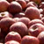 Cider