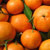 Orange & Evergreen